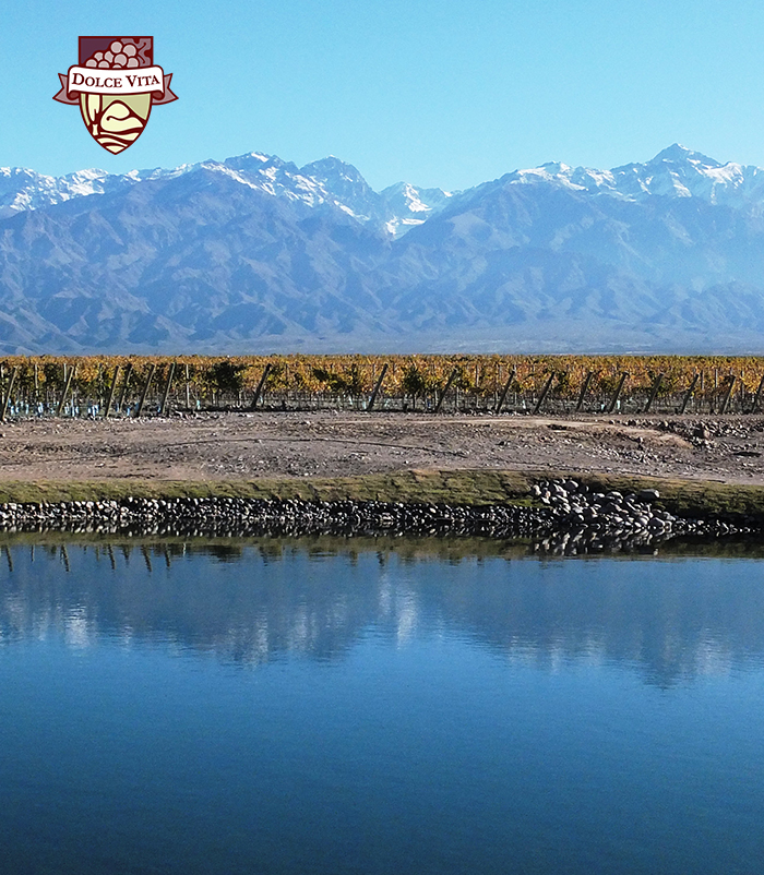 Lagoon Dolce Vita Vineyards